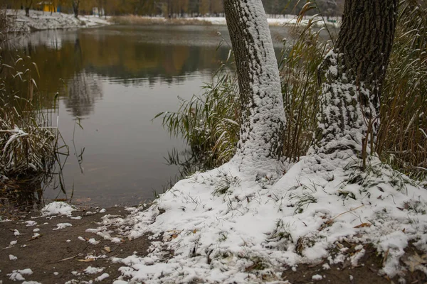 冬の公園で雪に囲まれた霧の湖 — ストック写真