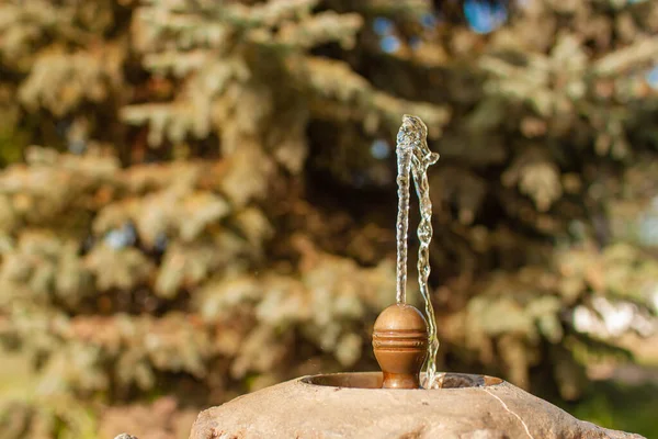 Beber Fuente Por Sendero Parque — Foto de Stock