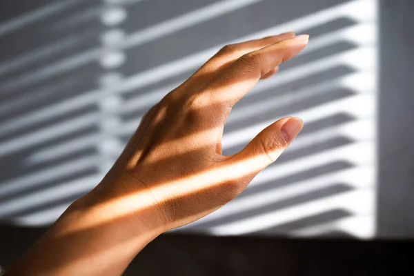 Woman\'s Hand With Shadows From Blinds