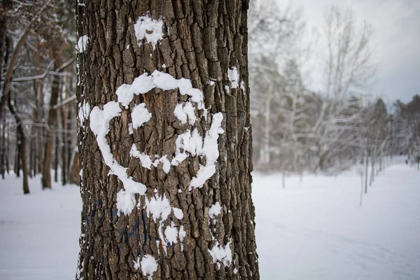 Snowy Frosty Landscape Smiley Face Tree — Stock Photo, Image