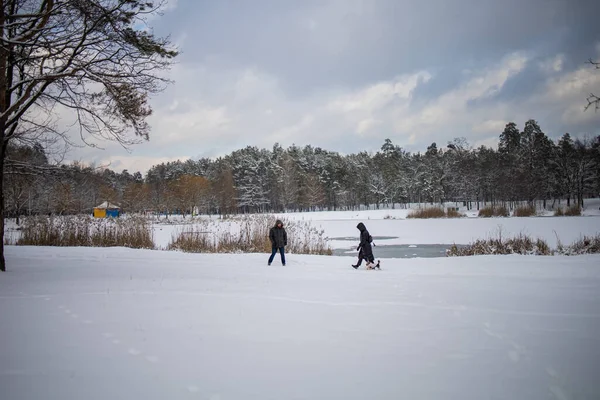 Floresta Paisagem Inverno Com Neve Paisagem Gelada — Fotografia de Stock