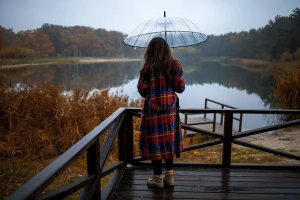 Magányos Szomorú Lány Tavon Esernyővel Rossz Időben — Stock Fotó