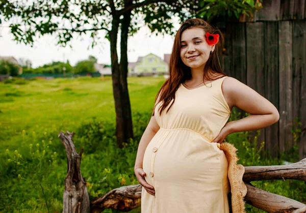 Piękna Czuła Kobieta Ciąży Stojąca Zielonej Trawie Patrząca Kamerę — Zdjęcie stockowe