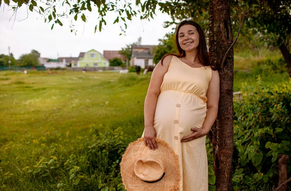 Hermosa Mujer Embarazada Tierna Pie Sobre Hierba Verde Mirando Cámara —  Fotos de Stock