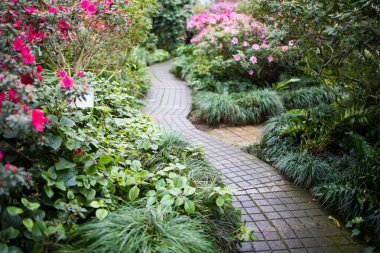 Güzel çiçekleri ve satılık bitkileri olan büyük bir sera.