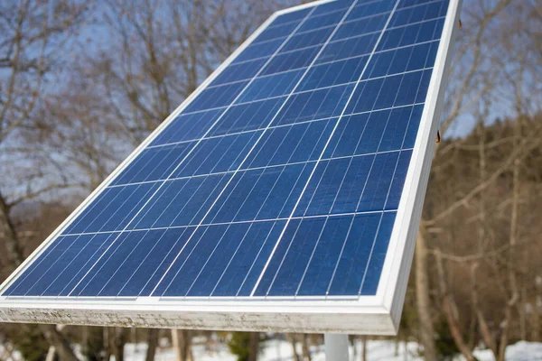 Solar Panel Against Blue Sky In Forest.