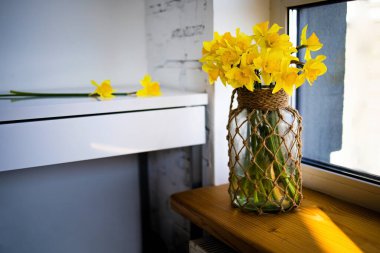 Güzel Bahar Çiçekleri Vazonun Yanındaki Sarı Narcissus .