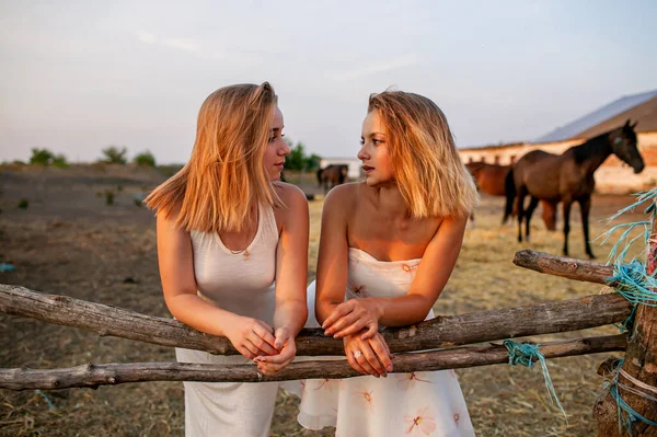 Chicas Rubias Divirtiéndose Aire Libre Campo Con Caballos Marrones —  Fotos de Stock