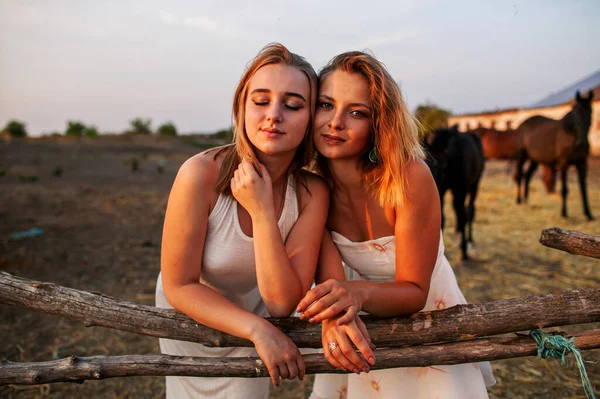 Chicas Rubias Divirtiéndose Aire Libre Campo Con Caballos Marrones —  Fotos de Stock