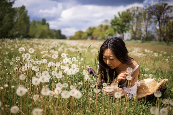 Young Beautiful Asian Woman Holding Bunch Dandelion Flowers Relaxing Grass — Stock Photo, Image