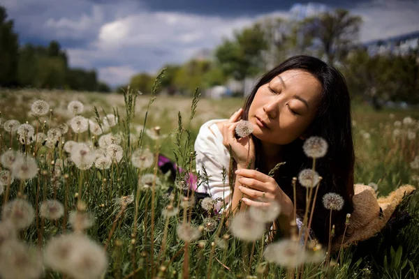 Young Beautiful Asian Woman Holding Bunch Dandelion Flowers Relaxing Grass — Stock Photo, Image