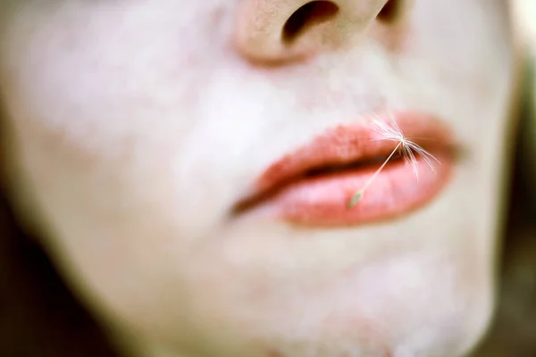 Gadis Kaukasia Dengan Benih Dandelion Pada Bibir — Stok Foto