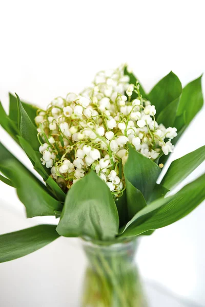 Spring Bouquet Of Lilies Of The Valley On White Background