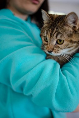 Evde Kedi Okşan Kız 'ın resmi.