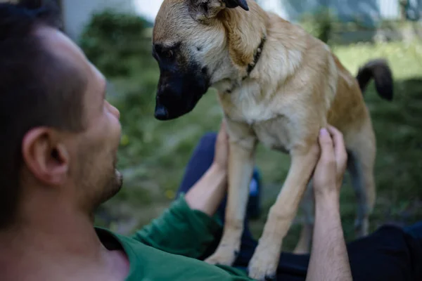 Giovane Volontario Accarezzare Cane Triste Rifugio Animali — Foto Stock