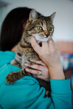 Evde Kedi Okşan Kız 'ın resmi.