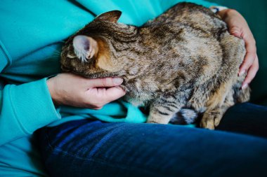 Evde Kedi Okşan Kız 'ın resmi.