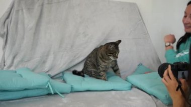 Kediler için iki kız fotoğraf çekimi yapıyor..