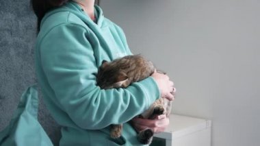 Evde Kız Elleri Okuyan Kedi. Odada Sevimli Bir Kedi Tutan Genç Kız.