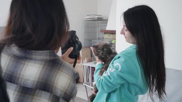 Dos Chicas Están Haciendo Una Sesión Fotos Para Gatos — Vídeos de Stock