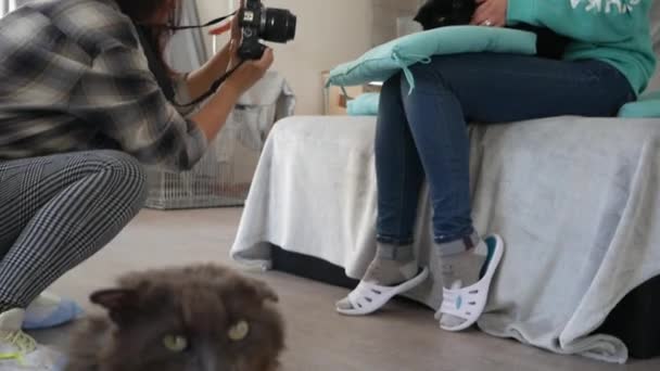 Dos Chicas Están Haciendo Una Sesión Fotos Para Gatos — Vídeos de Stock