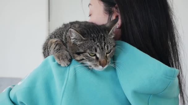 Lány Kézfogás Macska Otthon Fiatal Lány Egy Aranyos Macska Szobában — Stock videók