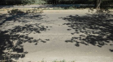 Ağaç dallarının gölgesiyle asfalt yüzeyi