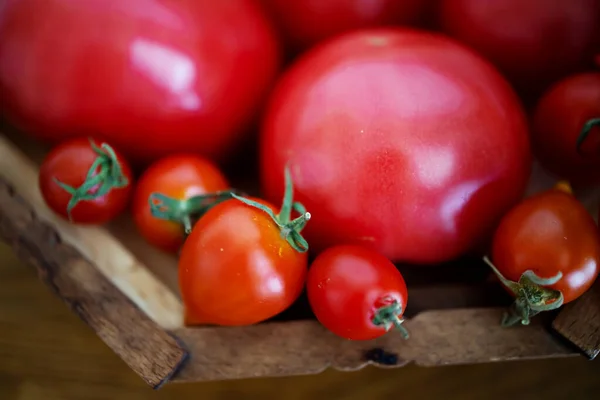 Primer Plano Tomates Tazón Madera — Foto de Stock