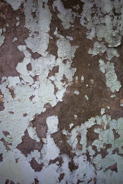 Old Painted Sheet Iron Covered Rust Abstract Background — Stock Photo, Image