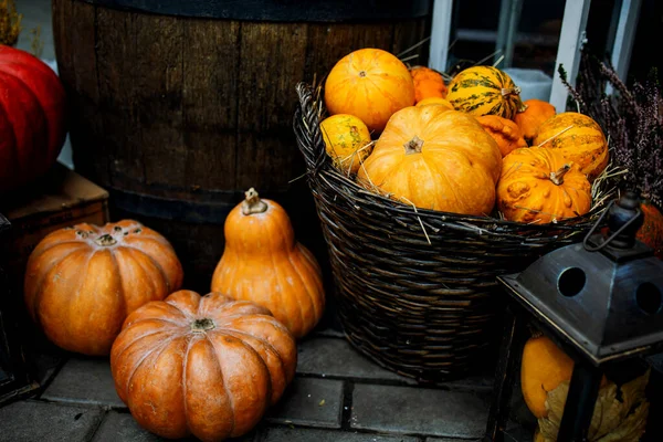 Pumpkin Decor Halloween Thanksgiving Day — Stock Photo, Image