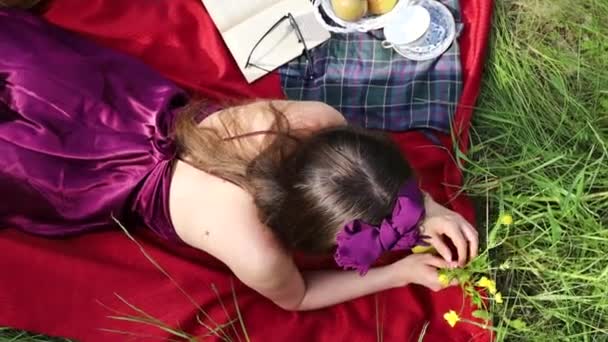 Piękna Kobieta Leżąca Kratę Podczas Pikniku Zielonym Polu Lecie — Wideo stockowe