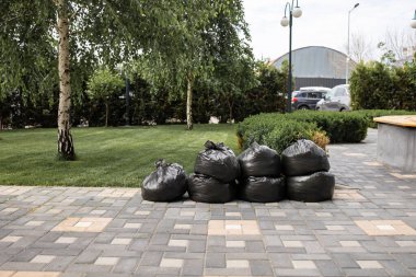 Parktaki çimlerin üzerinde büyük siyah çöp torbaları duruyordu.