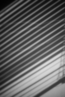 Beyaz Duvardaki Jalousie 'nin Gölgesi