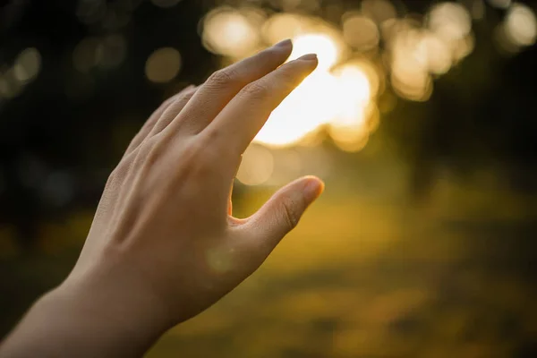 Jag Känner Solen Kvinnlig Hand Försöker Beröra Kvällssol — Stockfoto