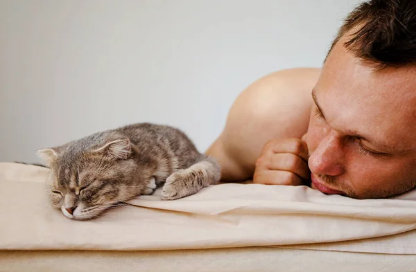 Gato Cinzento Bonito Dormindo Cama Com Proprietário Face Gato Fechado — Fotografia de Stock