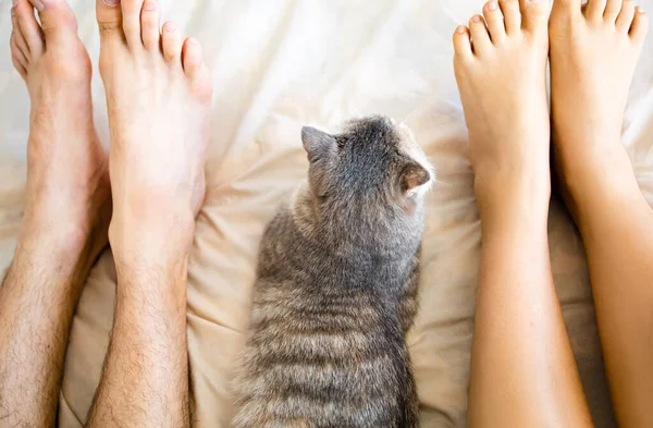 Pareja Acostándose Con Gato Dormir Familia Con Mascotas Acogedor Concepto —  Fotos de Stock