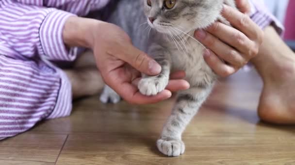 Närbild Man Finger Touch Katt Tass — Stockvideo