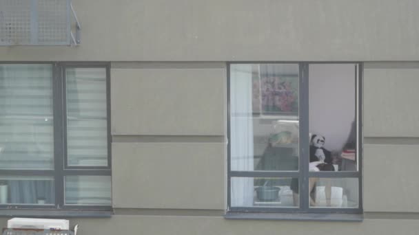 Młoda Kobieta Sprzątanie Okna Domu Niebezpieczne Zajęcie — Wideo stockowe