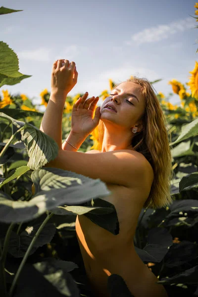 Schöne Junge Frau Einem Feld Von Sonnenblumen — Stockfoto