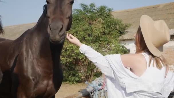 Jolie Blonde Femme Coups Châtain Cheval Ferme Pays Concept Vie — Video