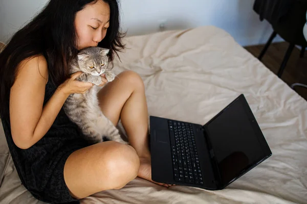 Cute Grey Cat And Woman In Bed With Laptop.