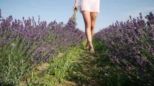 ラベンダー畑を駆け抜ける白いドレスを着た幸せな若い女性 — ストック動画