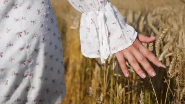 Mouvement Lent Vue Rapprochée Une Main Féminine Touchant Doucement — Video