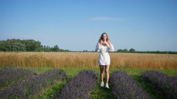 在薰衣草地里散步的女人的腿 — 图库视频影像