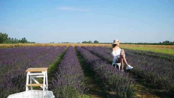 Jonge Vrouw Duw Naar Fotograaf Lavendel — Stockvideo