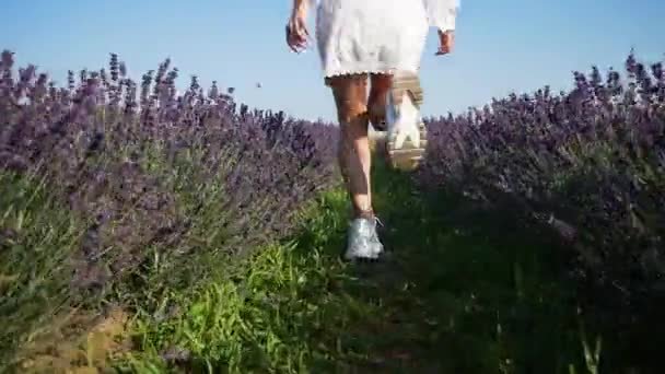 Lavanta Tarlasında Koşan Beyaz Elbiseli Mutlu Genç Kadın — Stok video