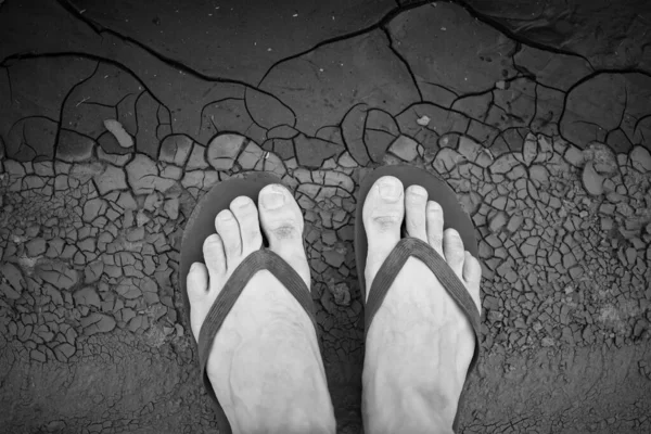 Ayaklar Sıcağın Kuraklığın Etkisinde Küresel Isınmanın Etkileri Üst Görünümde Kuru — Stok fotoğraf