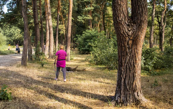 An elderly woman walks through the Park on Scandinavian sticks