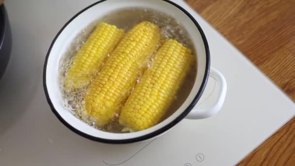 Érett Füle Kukorica Forrásban Lévő Vízben Vitaminokkal Egészség Érdekében Sárga — Stock videók