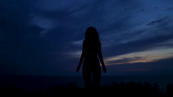 Vrouw Kijkt Uit Nachtelijke Hemel Golden Hour Sunset View Silhouet — Stockvideo